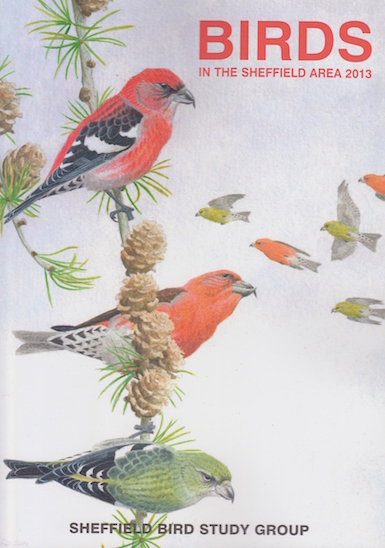 2013 report cover