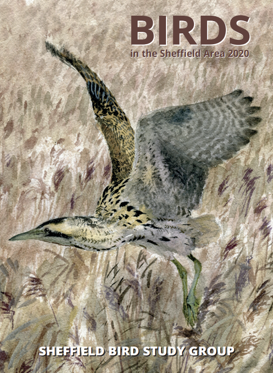 Birds in the Sheffied area 2020 magazine cover